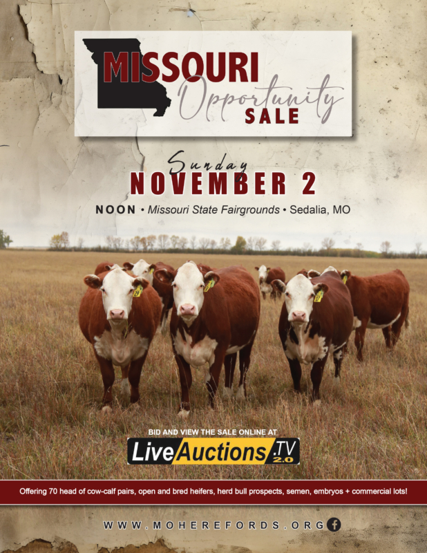 MHA-Opp-Sale-2025-WEB-1-COVER