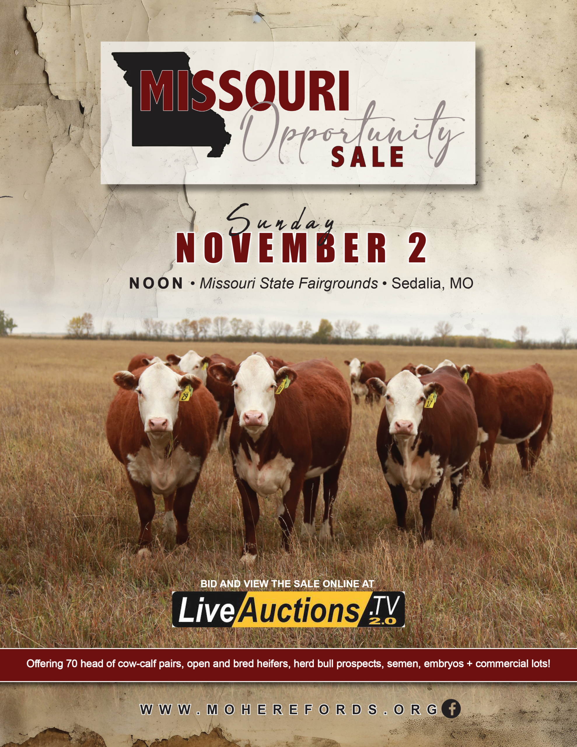 MHA-Opp-Sale-2025-WEB-1-COVER