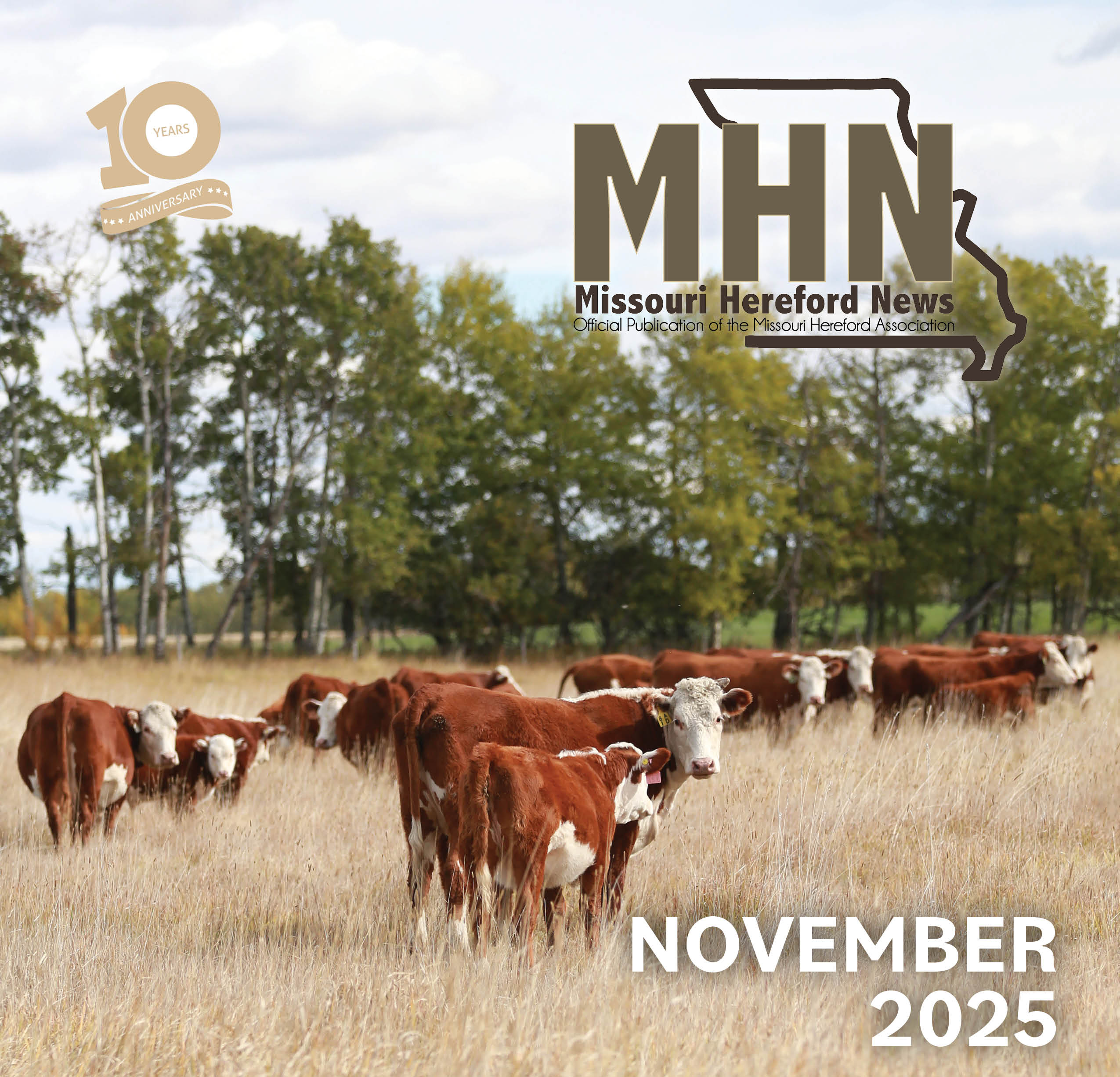 November2025_MHN - Cover - 2