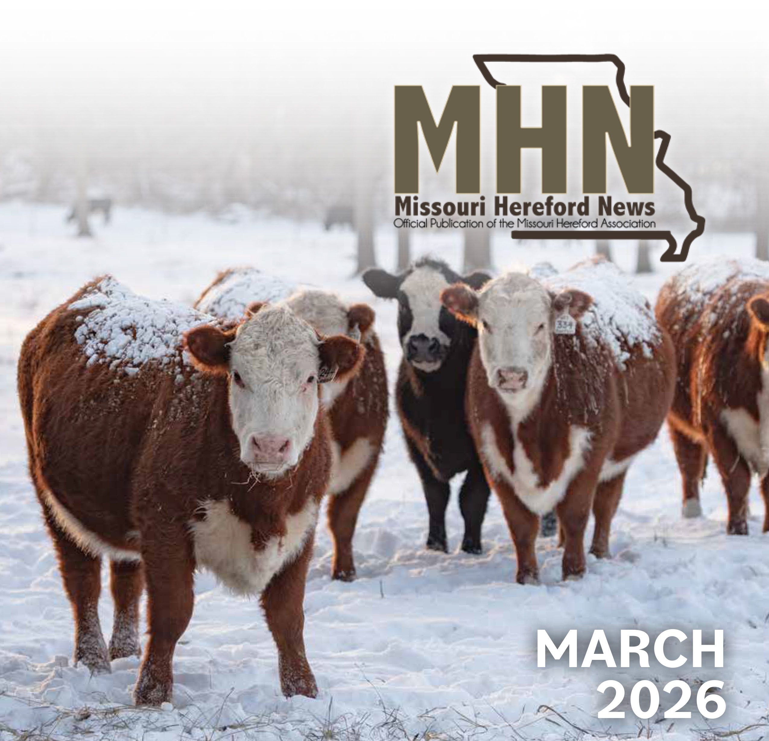 March2026_MHN-web-1 copy